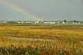 08 10 14_9227_edited-2